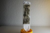 Schimmelprobe nach 5Tage im Brutschrank